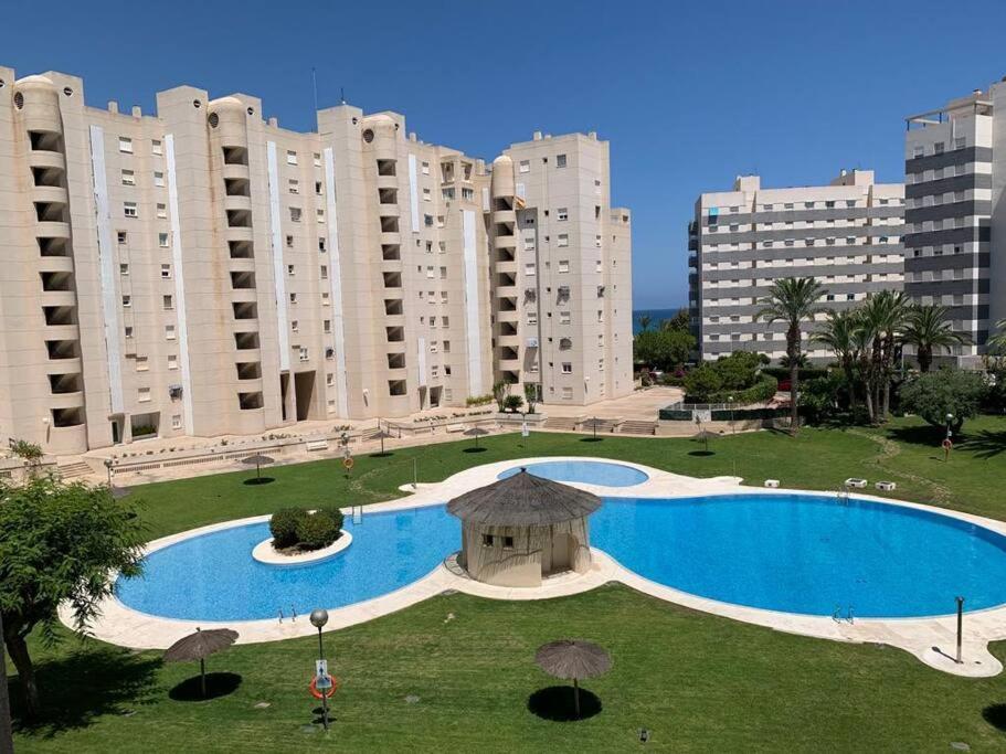 Apartamento - Playa El Campello Urbanizacion Jardin Del Mar 외부 사진